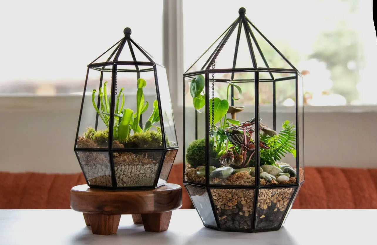 Terrarium Class