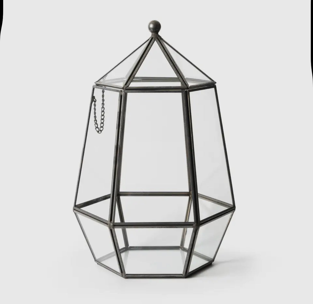 Terrarium Class